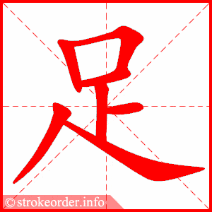 拼音 zú 部首 足