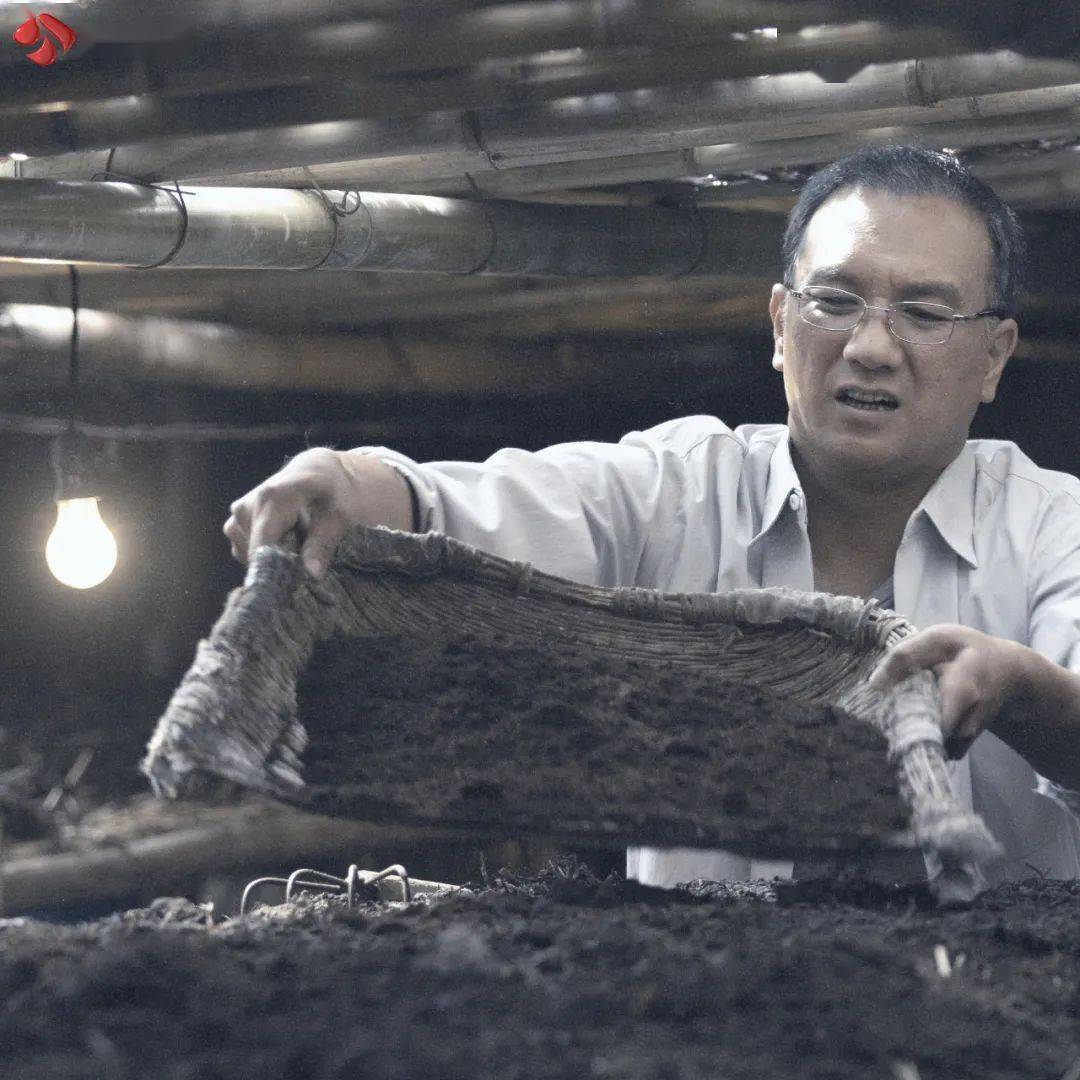 笑点中饱含泪点山海情让这些人深入人心