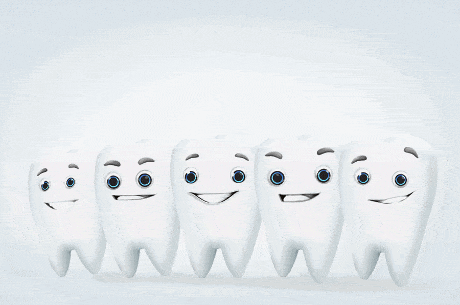 对照图片和文字认识一下这些可爱的白色小天使,看看她们到底姓甚名谁