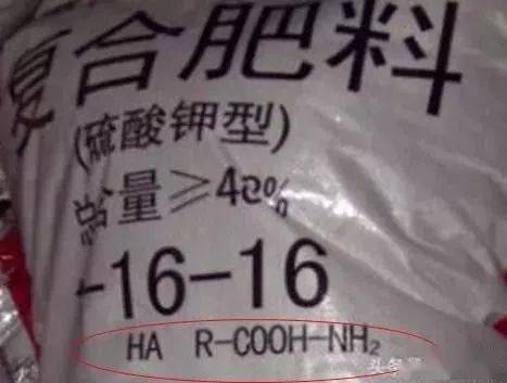 b2982ad4222c4e9a8a25ca0f2abb080f.jpeg