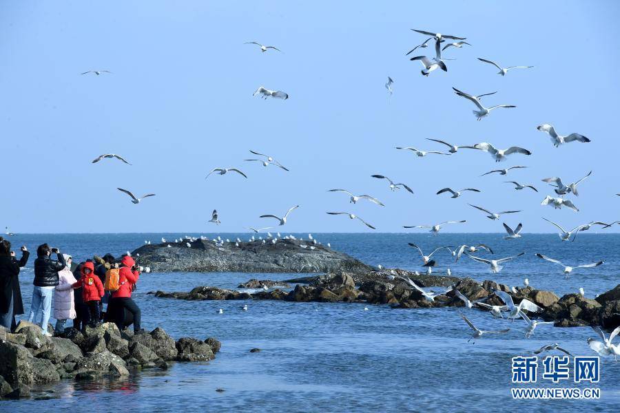 青岛：亲近大海 乐享假期