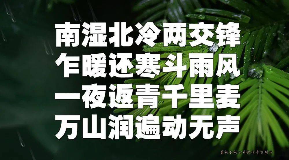 今日雨水春风化雨润物无声