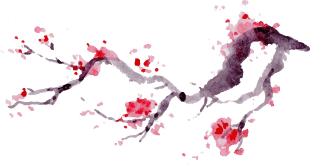 梅 好进行时 这份开化赏梅攻略请签收 梅花