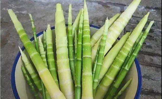 怎样晒笋干的教程 310649e2d87e4c1c92c037955e79774d.jpeg