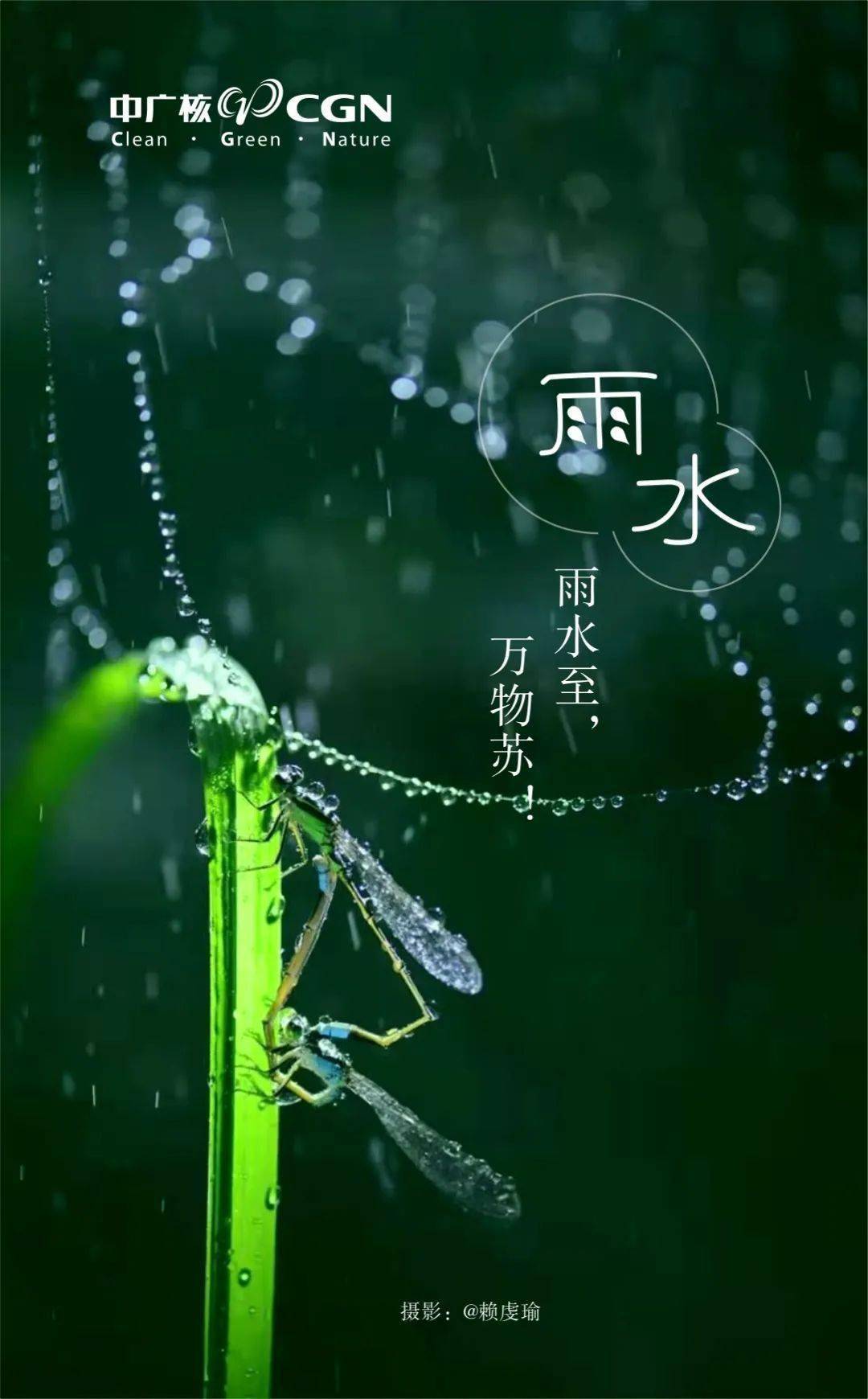 春风携雨至春归万物生