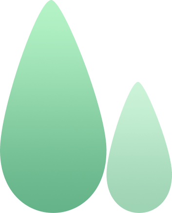 雨水节气到 快走进蜀南竹海的春天里 春雨