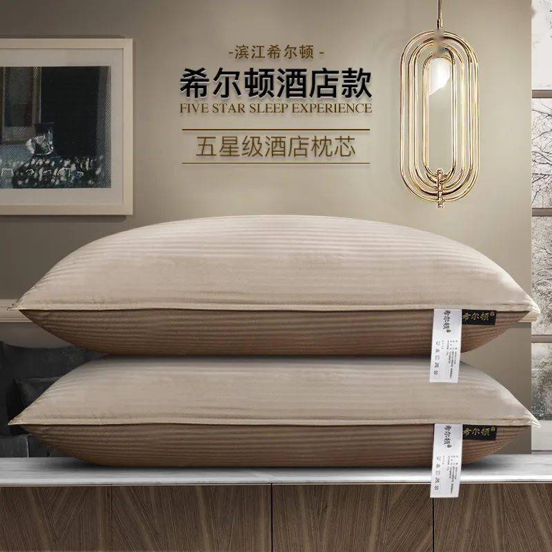 什么酒店的枕头最好 59547e0ce9a9410489254430b251fefe.jpeg
