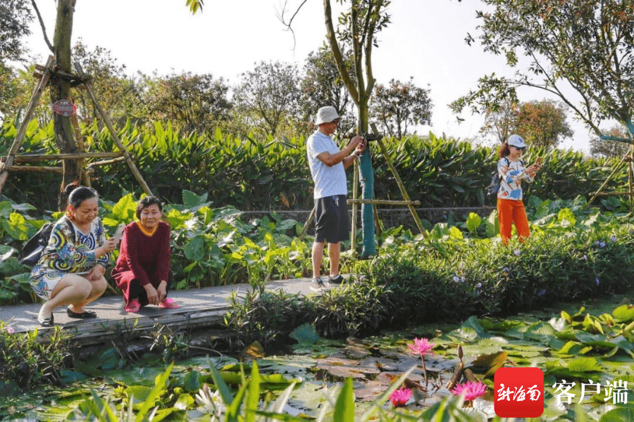 天气晴好玩法多样 海南春节旅游“人财两旺”