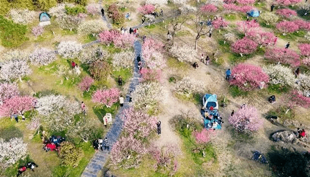 赤壁30天天气预报，掌握未来一个月的气候动态，赤壁未来一个月天气预报概览