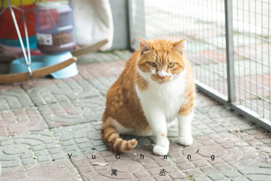 78452c6f06034213890f7968ad824a37.jpeg