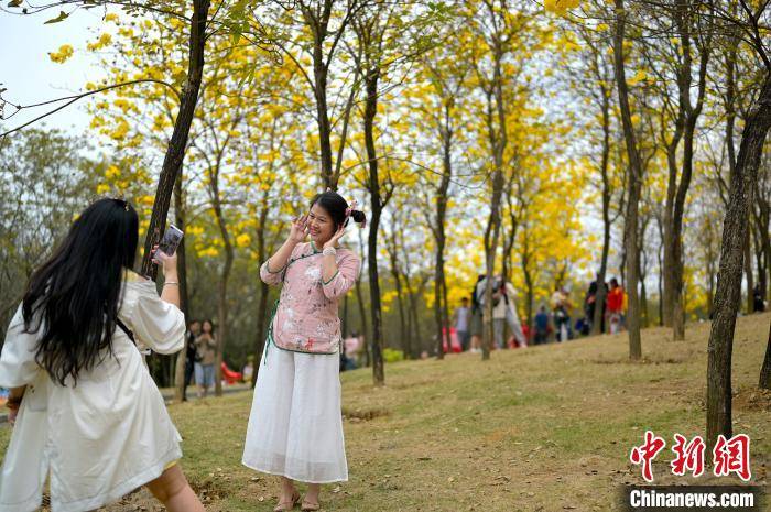 广西春节假期接待游客2229.9万人次 花样“微旅游”成新风尚