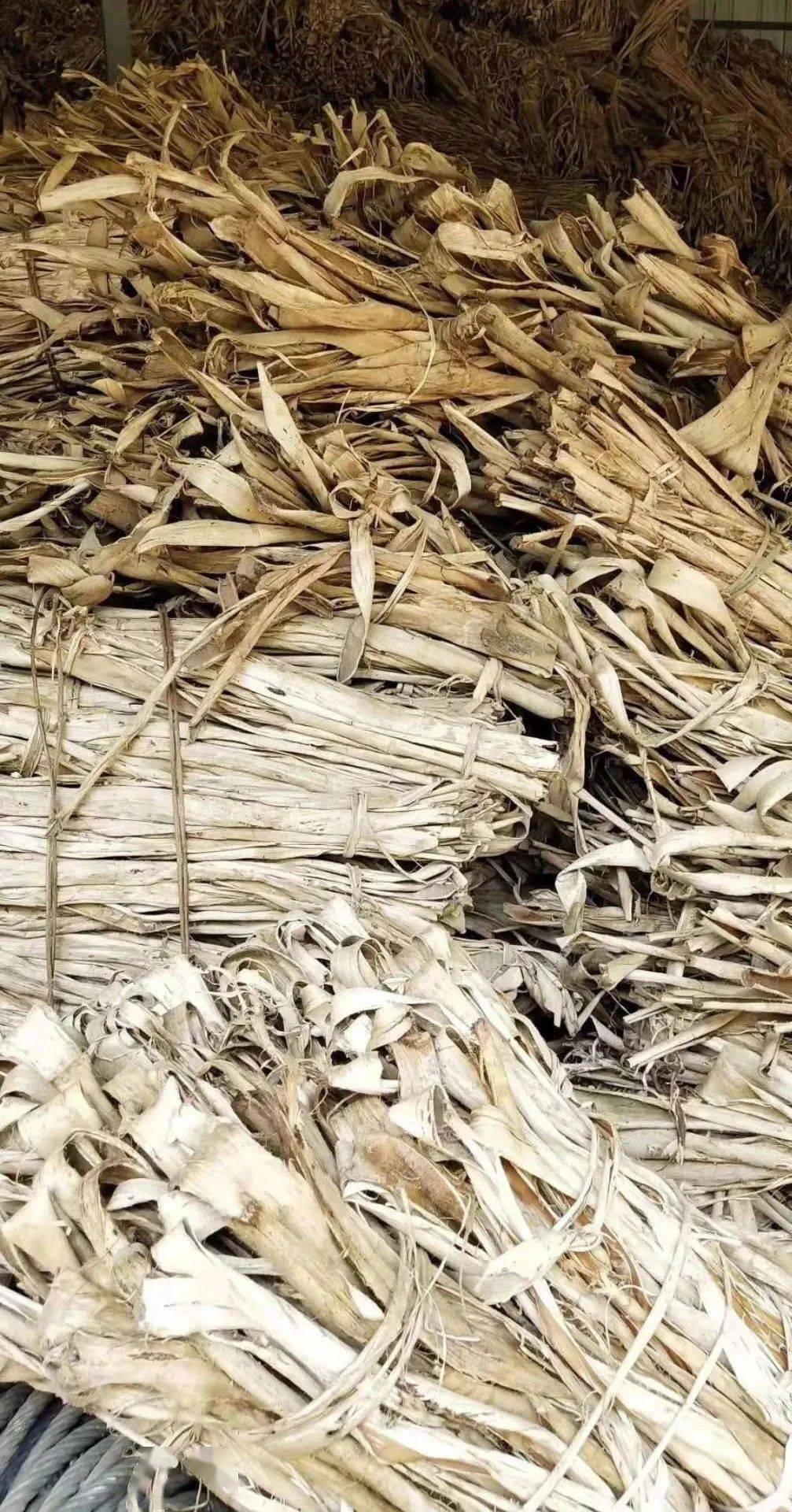 只有选用真正的构树皮,再经过反复捶打成浆的过程,才是古法造纸