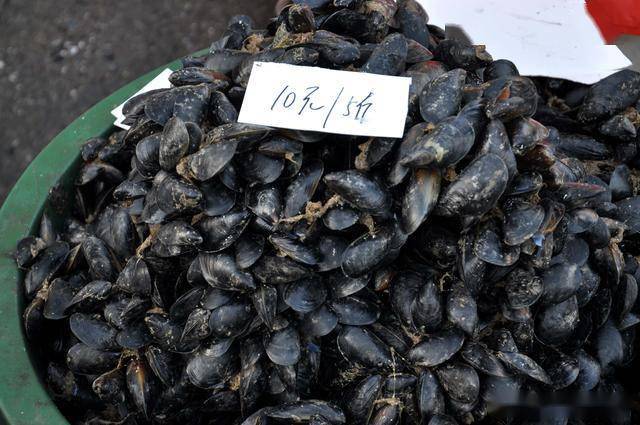 好吃不贵10元5斤,开春尝鲜"海鸡蛋"大量上市,多数人不愿买