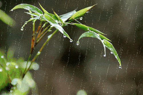 雨水春风化雨润物无声