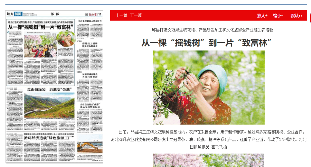 邯郸日报邯郸gdp_邯郸学步图片(2)