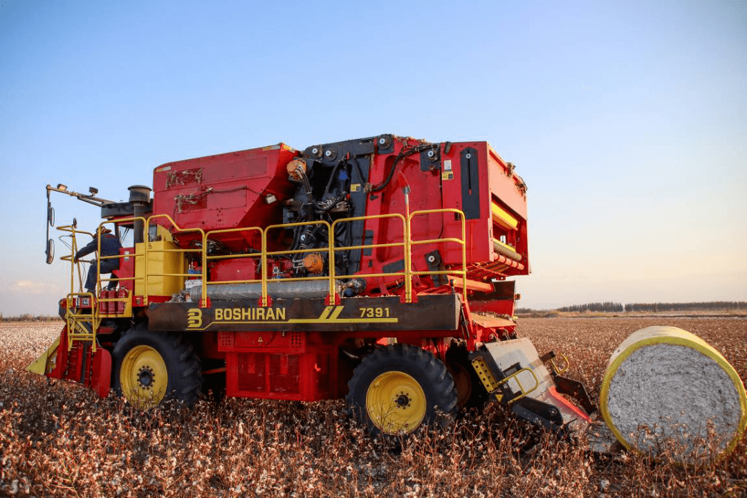 小地块棉花种植户的福音三行采棉机也可以打包了