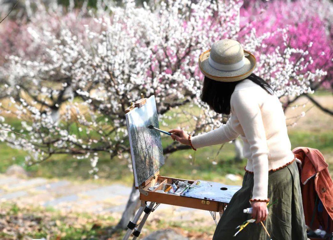 梅花、玉兰、樱花……武汉两个春天的花一起开了