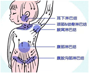 一颗淋巴结的自白