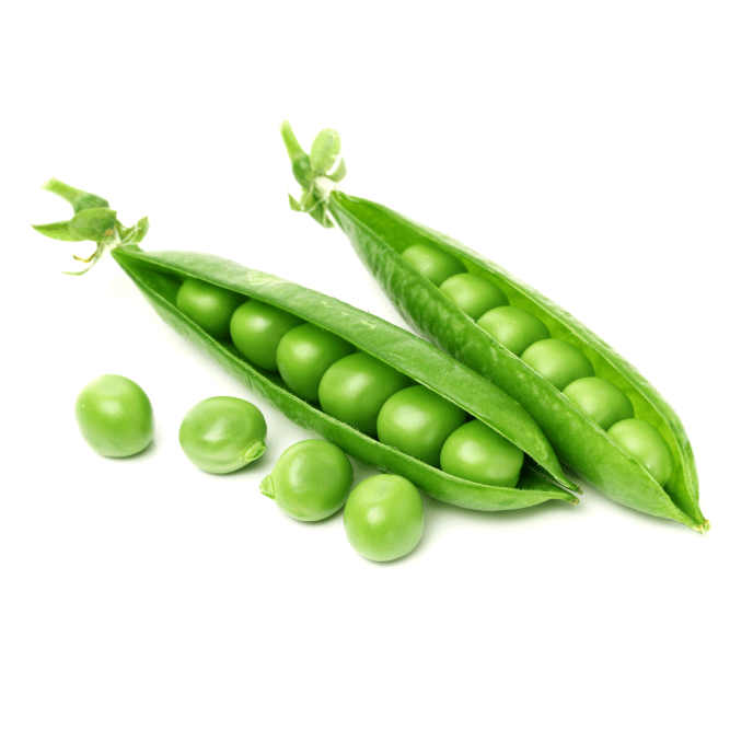6ce58f67b02d454082d6d9a04413f460.png