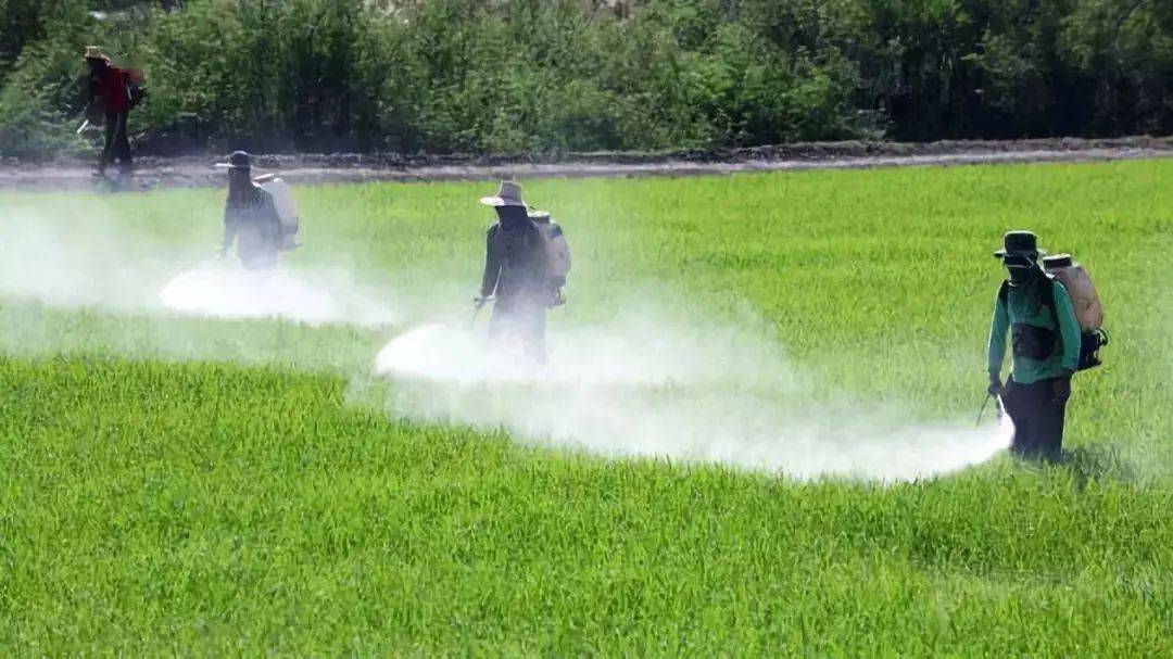 注意:农药这样混配,药效全无!