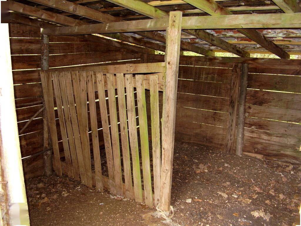 羊舍该怎么建更好用?这4种最常见羊舍类型及特点明白了就知道了