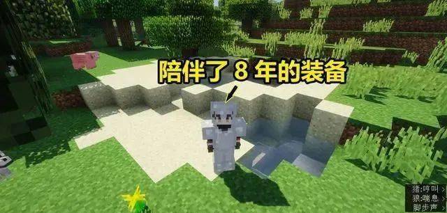 8b811d6c7c044a0382c5588c05912a71.jpeg