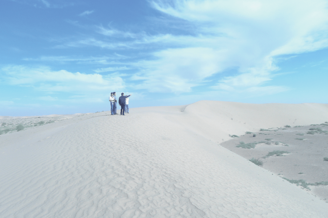 b043397dd1c44bc29deae150ff0fe0b2.png
