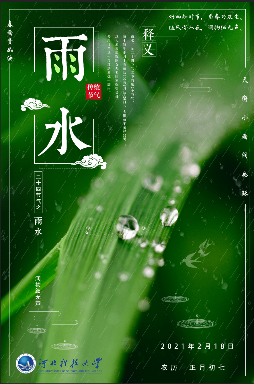 今日雨水雨水润泽春意初现