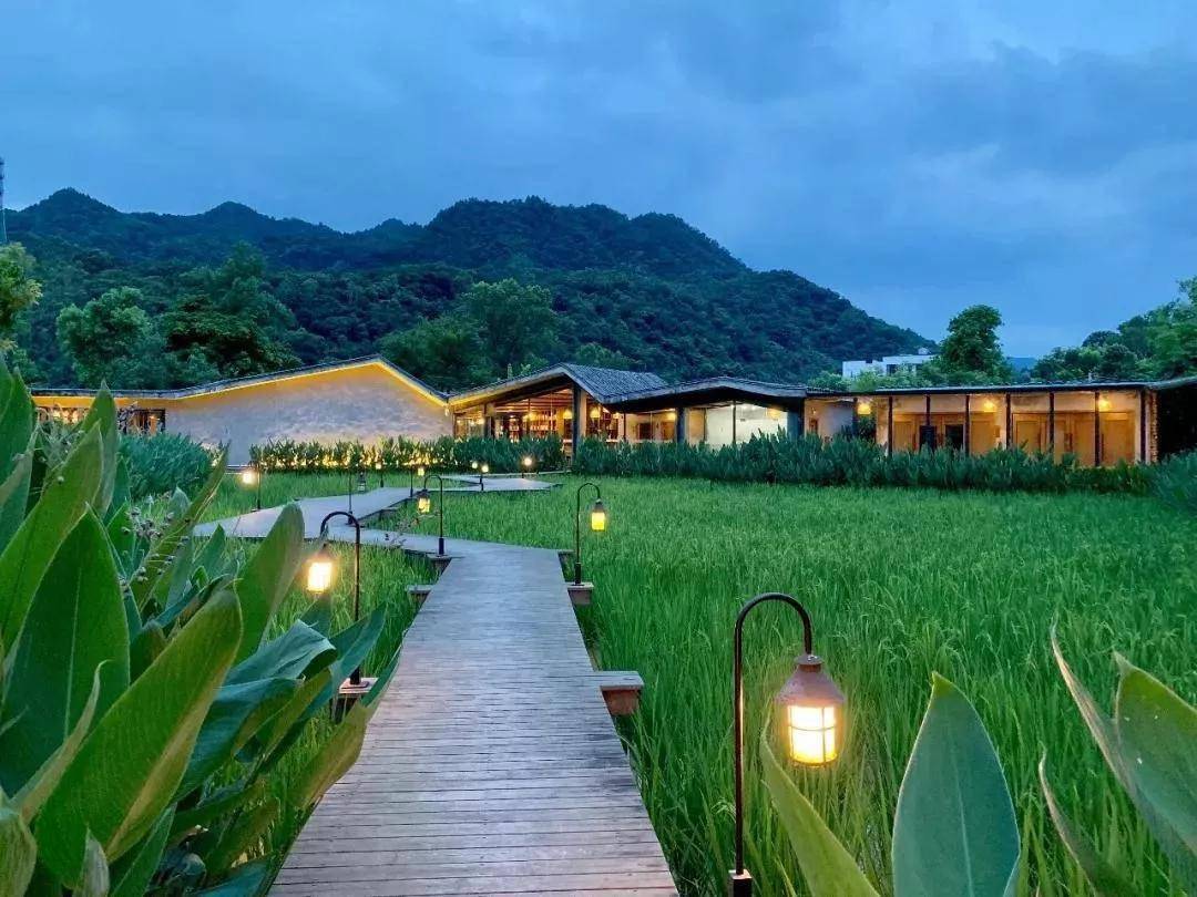 睡进惠州博罗这座拥有4000㎡乡野稻田秘境里的民宿丨禾肚里