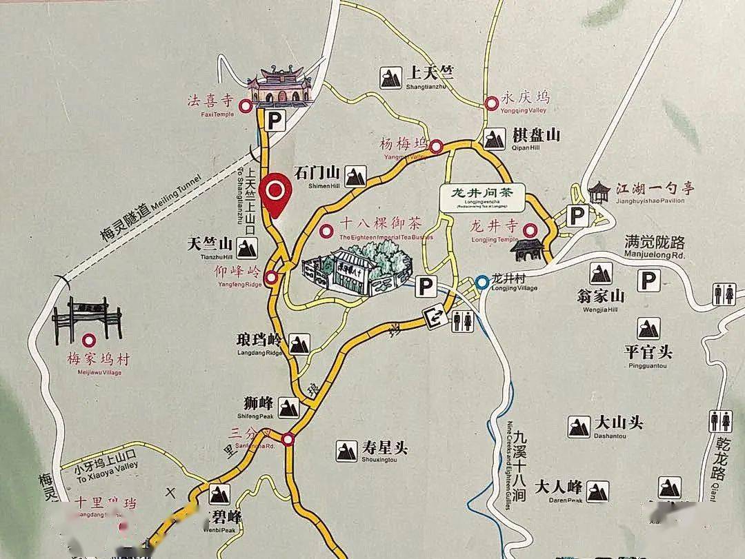 西湖龙井之声①檫树花开叫醒茶山春色