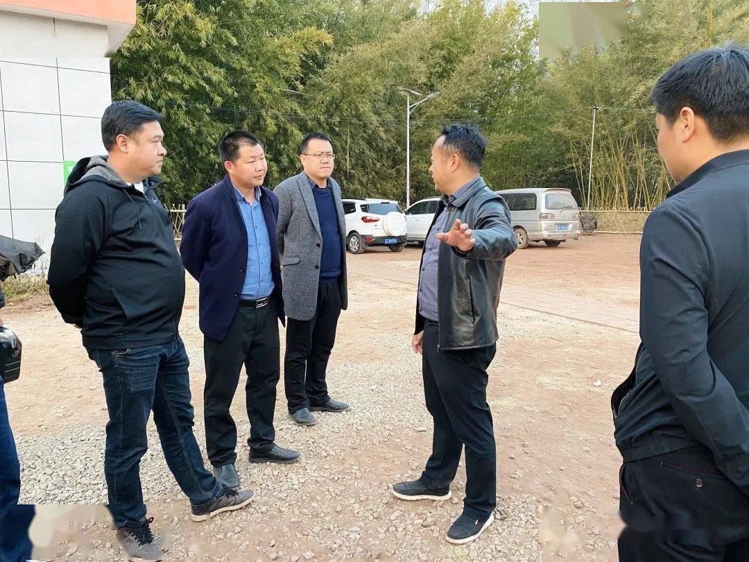 县委书记周志远调研彩云镇乡村振兴示范点建设