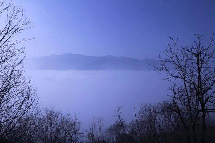 印象卢氏卢氏县摄影家协会摄友作品展示第四十六期