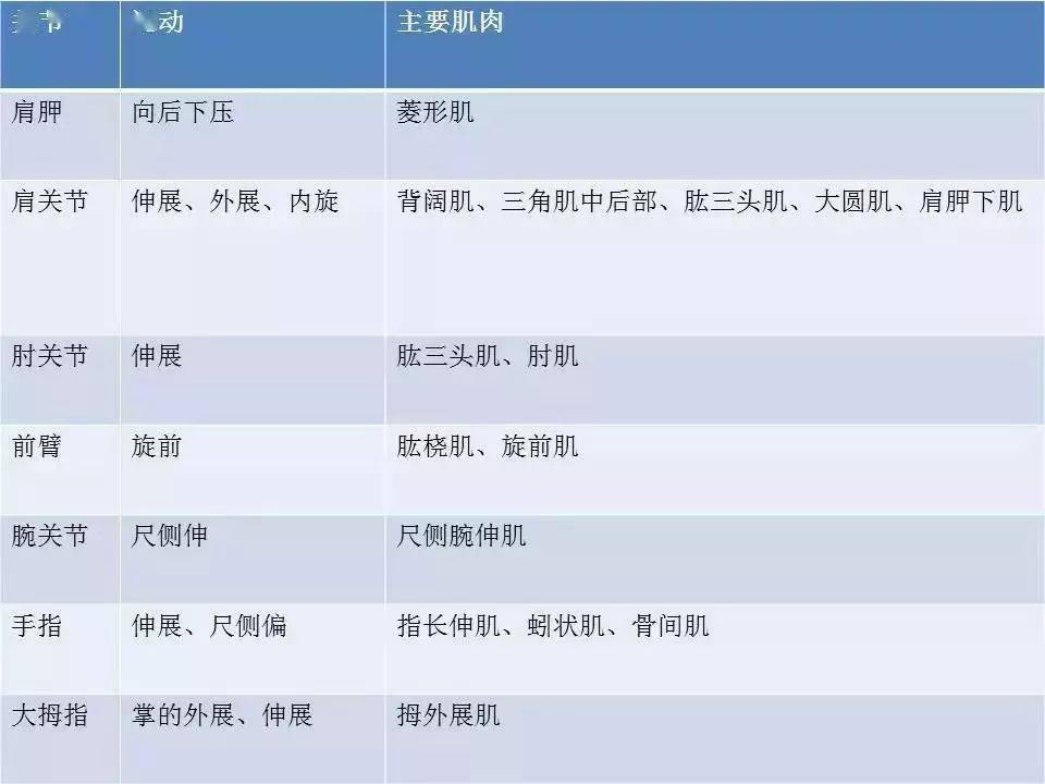 下肢运动模式屈曲-外展-内旋模式伸展-内收-外旋模式屈曲-内收-外旋