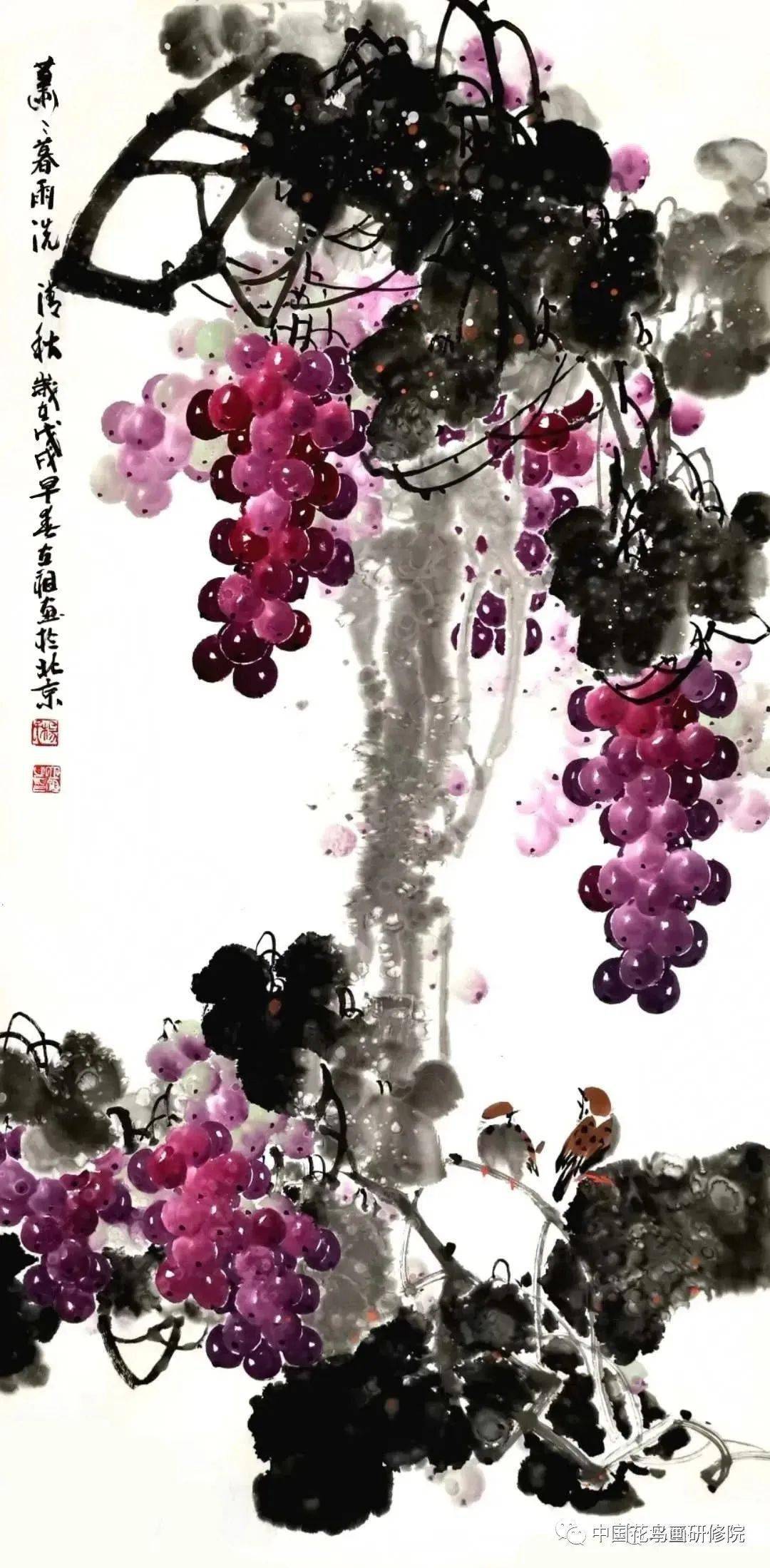 满架高撑紫络索一枝斜亸金琅珰3月6日和杨立祖老师一起画葡萄