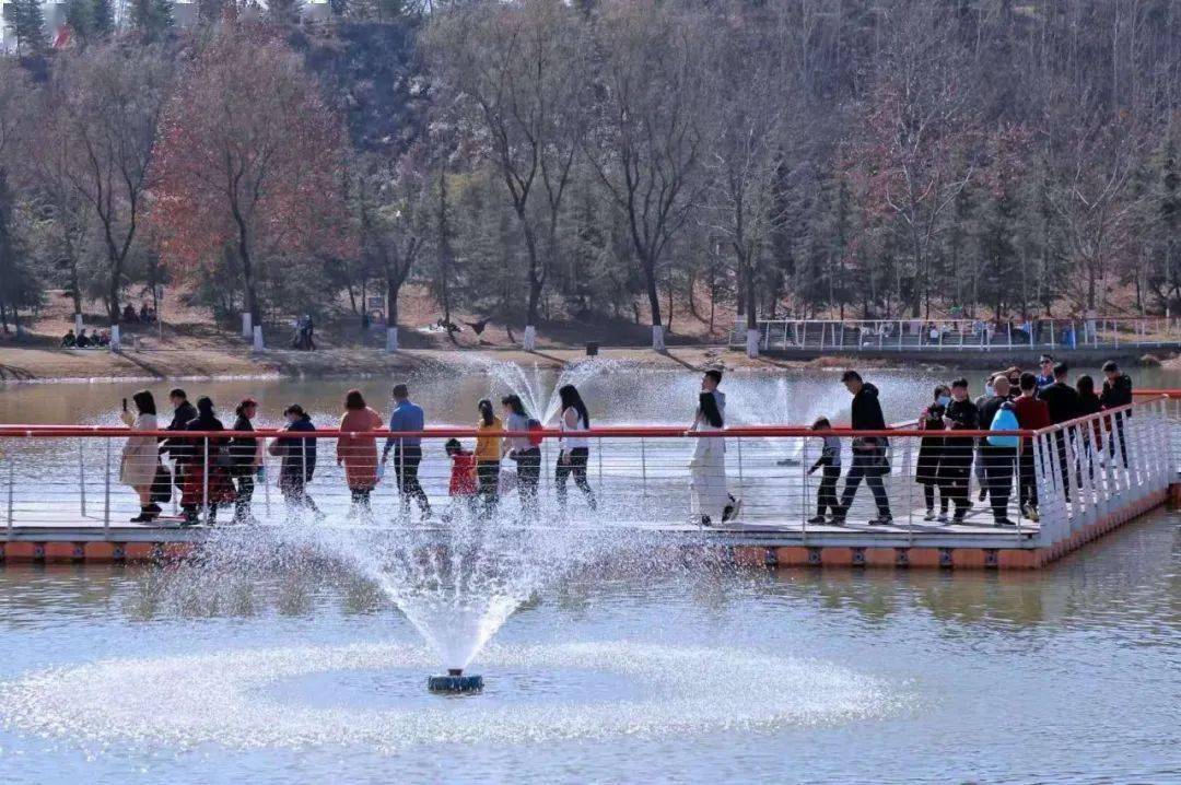 春日里的樊川公园 阳光 沙滩 棕榈树