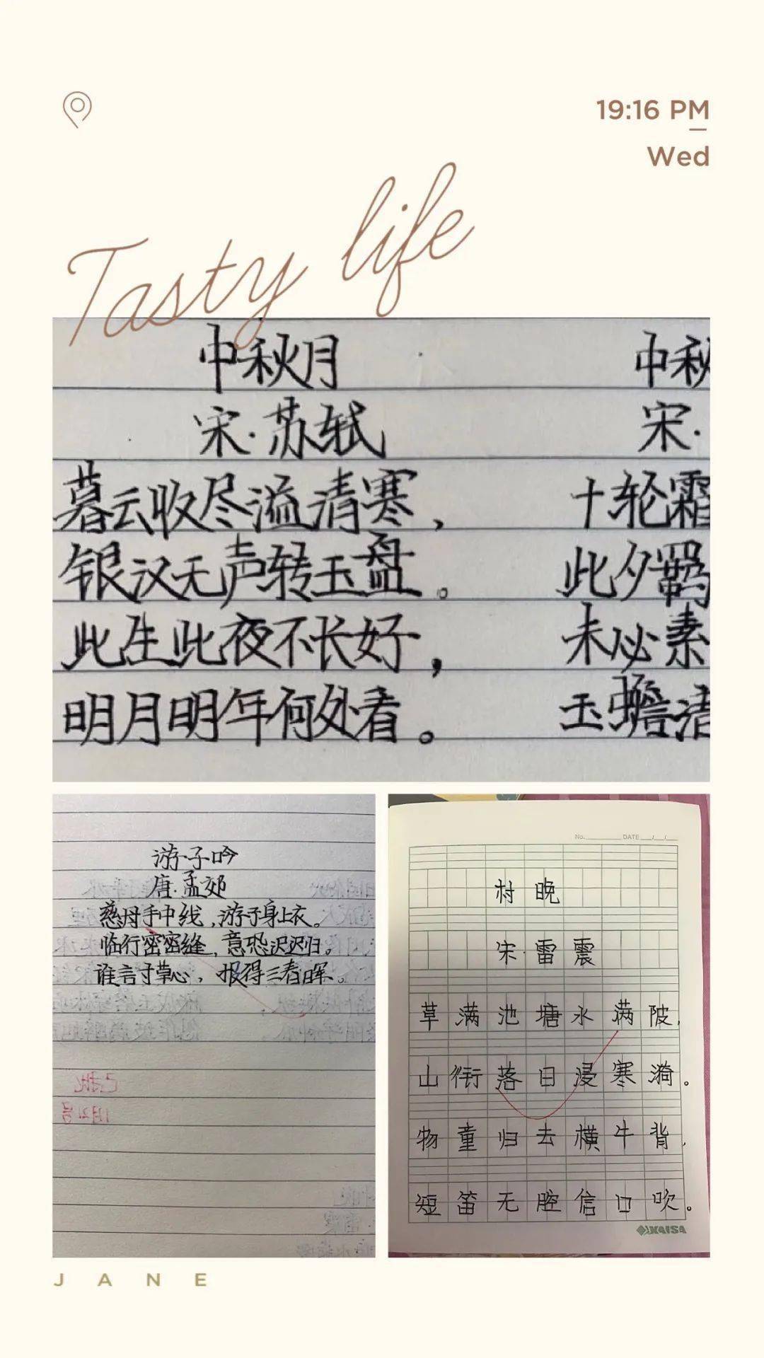 少年五线简谱_玫瑰少年数字简谱(2)