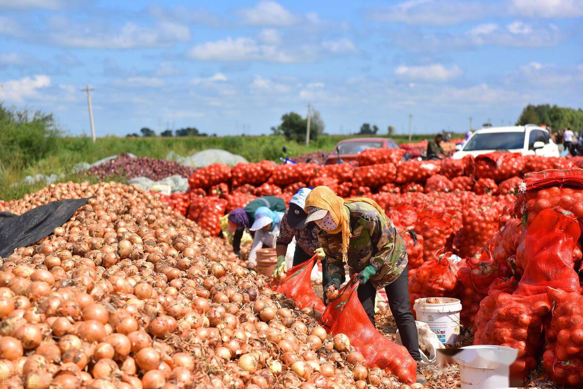 禄劝GDP_禄劝县图片(2)