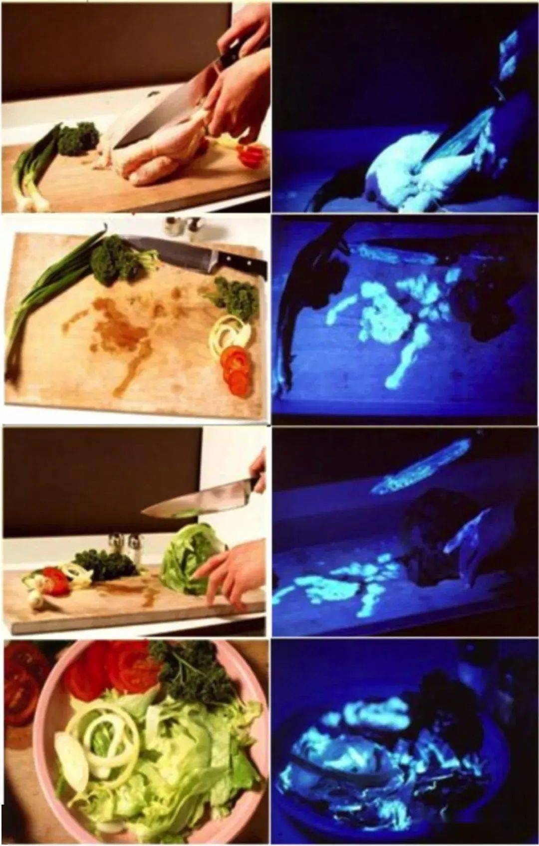 如何杀死沙门氏菌 b73e75ffbfb7456c8468b8869af0db32.jpeg