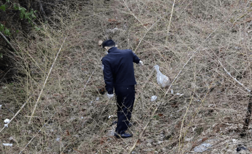 宁乡有多少人口_宁乡白马桥有足球场