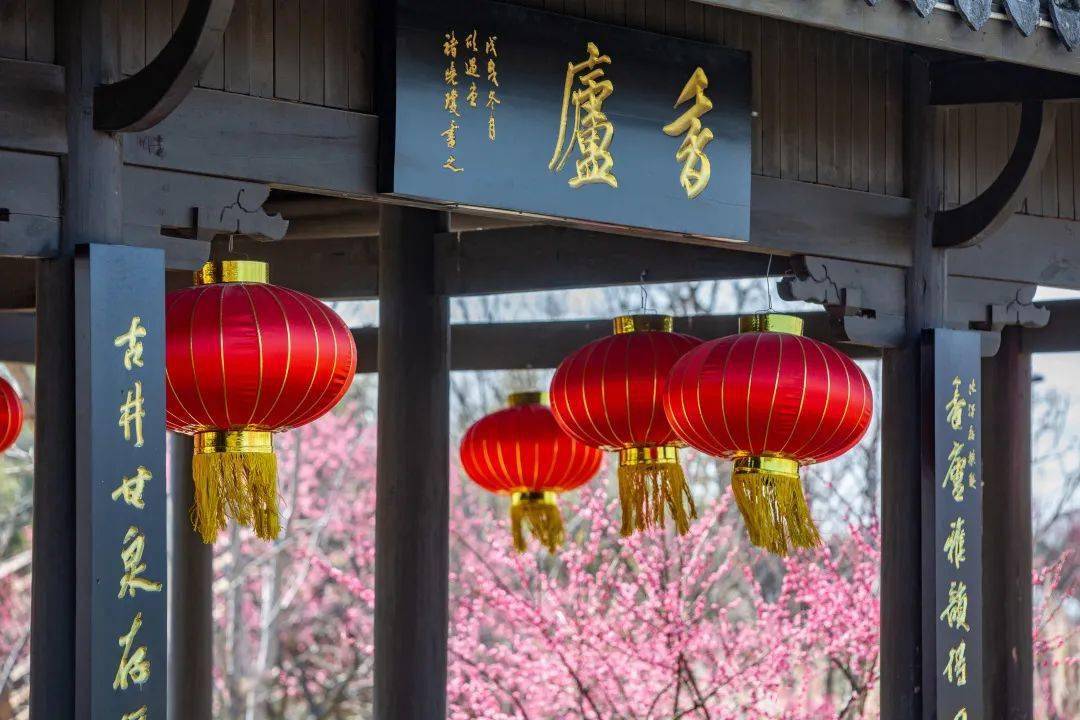 走去南梅村赏梅