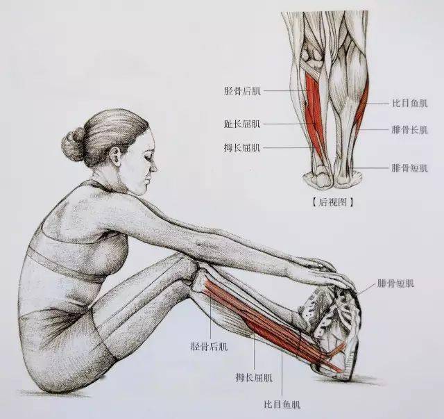 经典21点平台