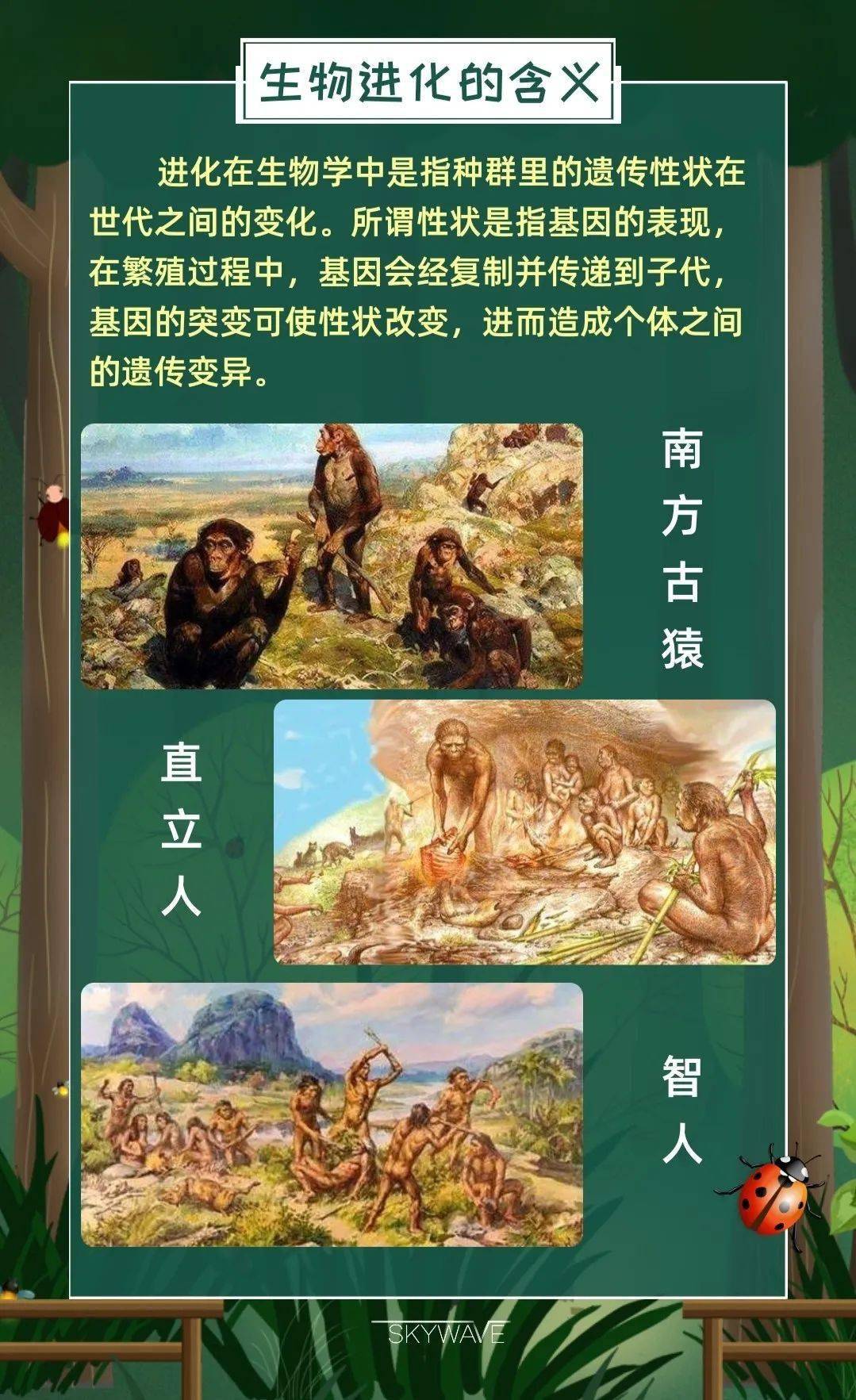 科普期刊 生物科技系列之生物的进化史 生命