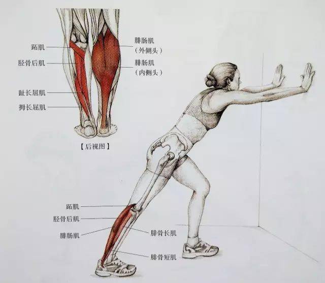经典21点平台