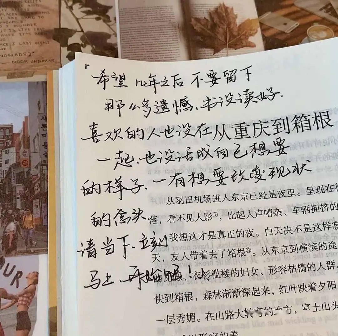 花脸的简谱_京剧花脸(3)