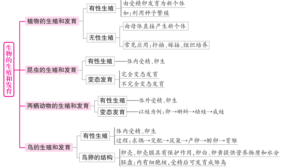 d5015d0950e642f4a055223f4babdc76.png