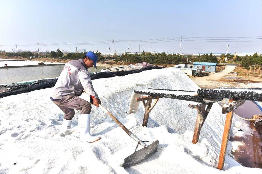 古道遗韵跟着非遗游文登海盐制作技艺