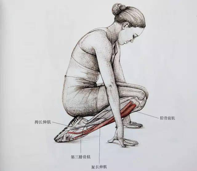经典21点平台