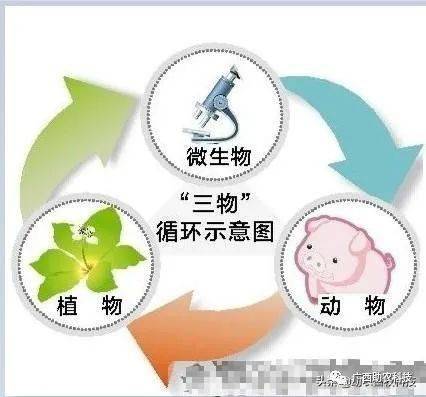 动物 植物 微生物形成三物循环才符合自然规律