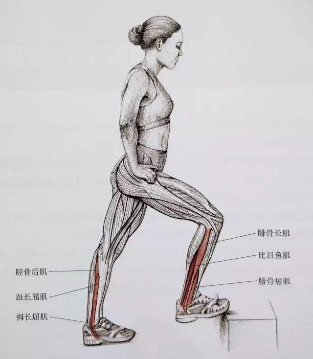 经典21点平台