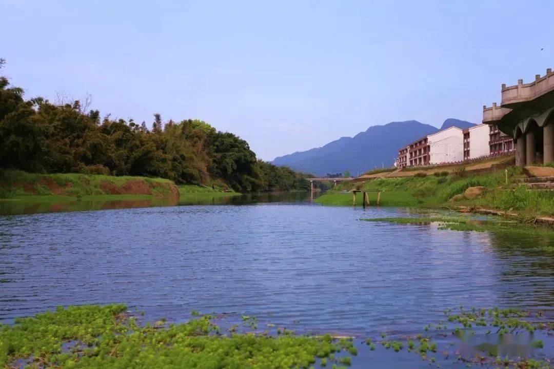 完成江西垟排涝工程前期工作,横阳支江入选温州市"美丽河湖",灵溪镇